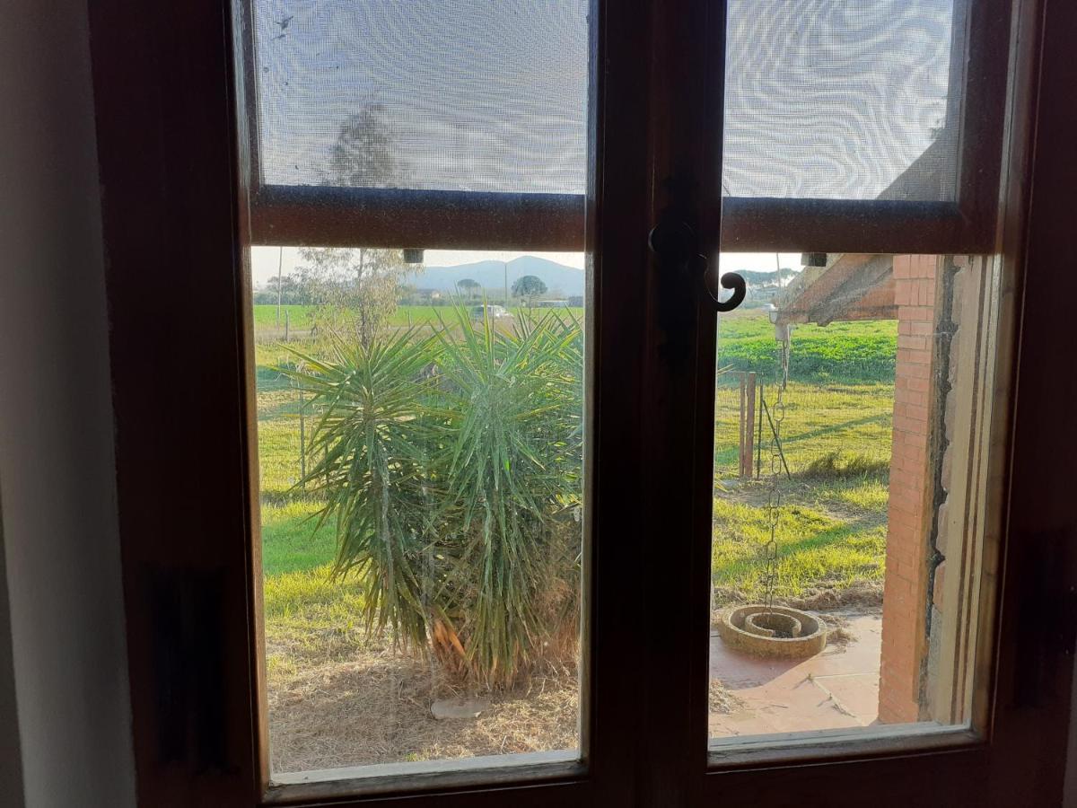 Casa Porciatti Hotel Grosseto Eksteriør billede