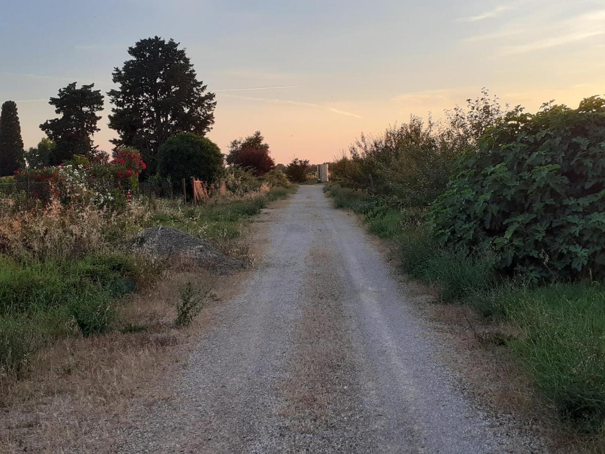 Casa Porciatti Hotel Grosseto Eksteriør billede